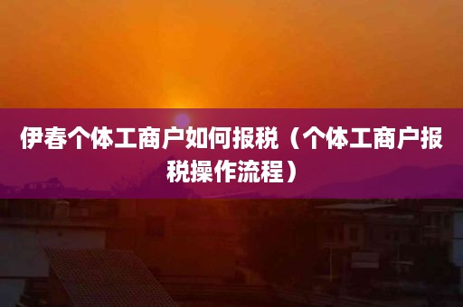 伊春个体工商户如何报税（个体工商户报税操作流程）