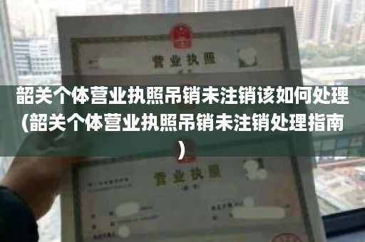 韶关个体营业执照吊销未注销该如何处理(韶关个体营业执照吊销未注销处理指南)