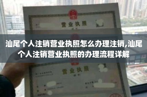 汕尾个人注销营业执照怎么办理注销,汕尾个人注销营业执照的办理流程详解