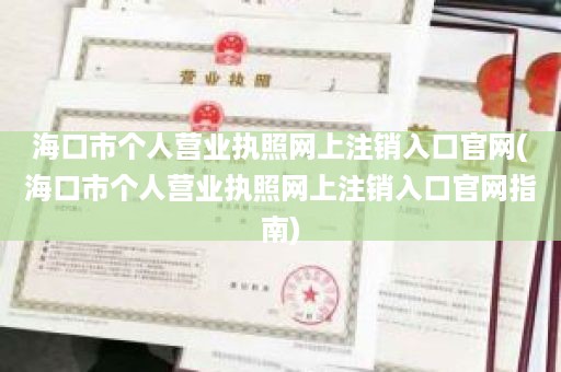 海口市个人营业执照网上注销入口官网(海口市个人营业执照网上注销入口官网指南)