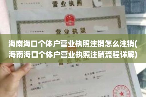 海南海口个体户营业执照注销怎么注销(海南海口个体户营业执照注销流程详解)