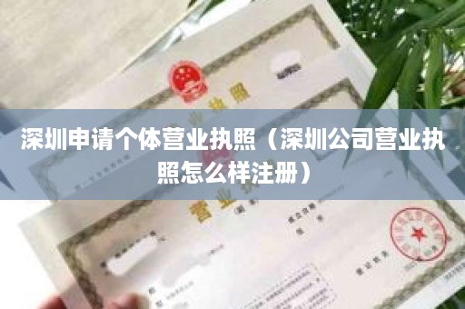 深圳申请个体营业执照（深圳公司营业执照怎么样注册）