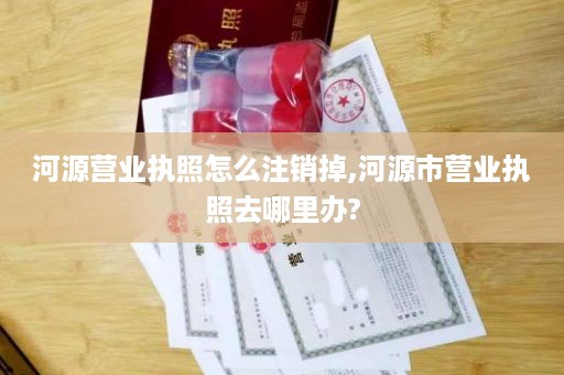 河源营业执照怎么注销掉,河源市营业执照去哪里办?