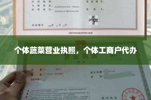 个体蔬菜营业执照，个体工商户代办