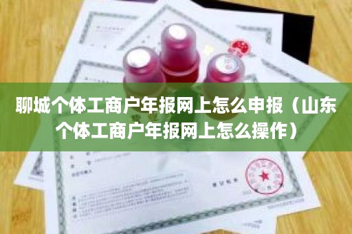 聊城个体工商户年报网上怎么申报（山东个体工商户年报网上怎么操作）