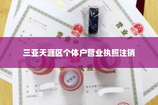 三亚天涯区个体户营业执照注销
