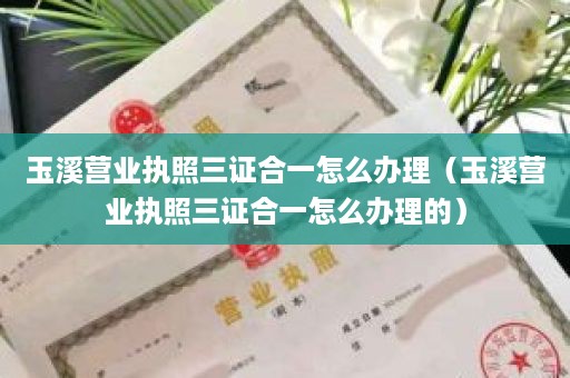 玉溪营业执照三证合一怎么办理（玉溪营业执照三证合一怎么办理的）