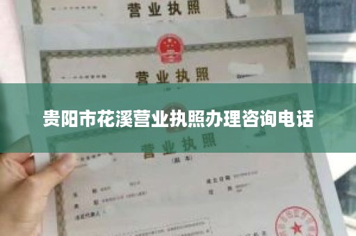 贵阳市花溪营业执照办理咨询电话