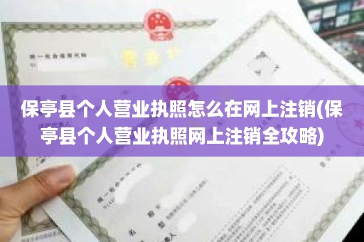 保亭县个人营业执照怎么在网上注销(保亭县个人营业执照网上注销全攻略)