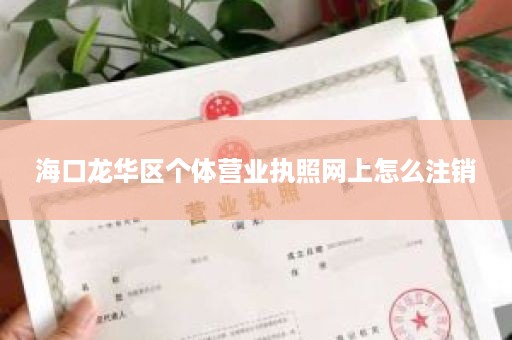 海口龙华区个体营业执照网上怎么注销