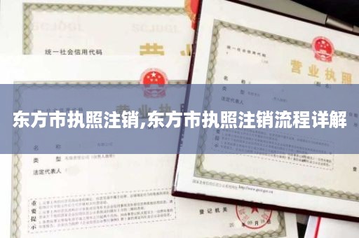 东方市执照注销,东方市执照注销流程详解