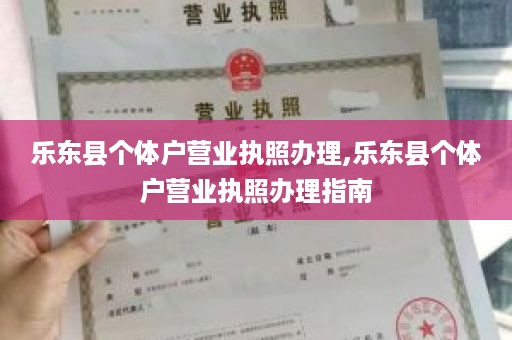 乐东县个体户营业执照办理,乐东县个体户营业执照办理指南