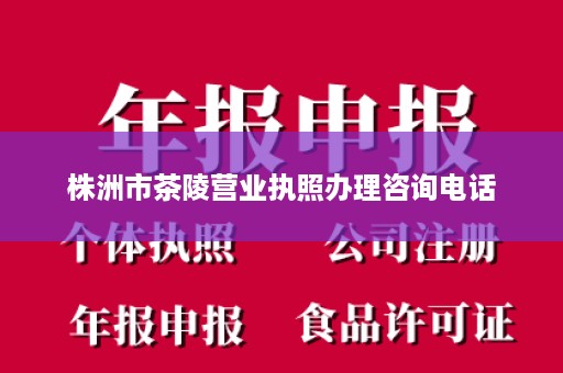 株洲市茶陵营业执照办理咨询电话