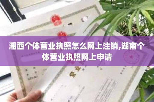 湘西个体营业执照怎么网上注销,湖南个体营业执照网上申请