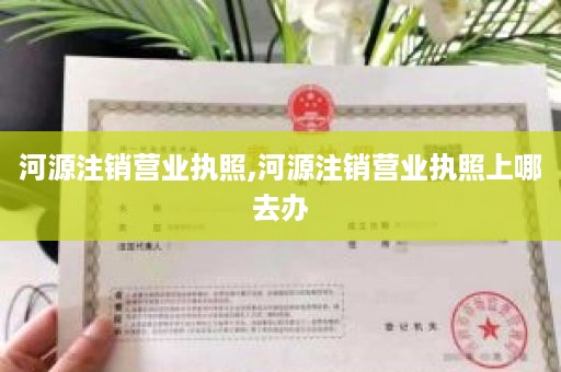 河源注销营业执照,河源注销营业执照上哪去办