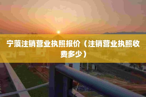 宁蒗注销营业执照报价（注销营业执照收费多少）