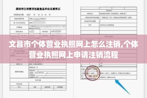 文昌市个体营业执照网上怎么注销,个体营业执照网上申请注销流程