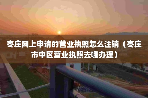 枣庄网上申请的营业执照怎么注销（枣庄市中区营业执照去哪办理）