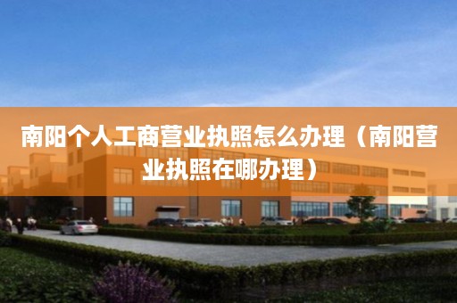 南阳个人工商营业执照怎么办理（南阳营业执照在哪办理）