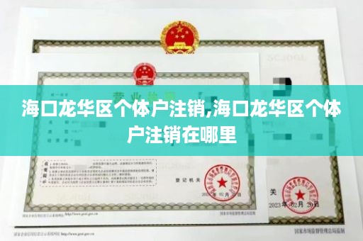 海口龙华区个体户注销,海口龙华区个体户注销在哪里