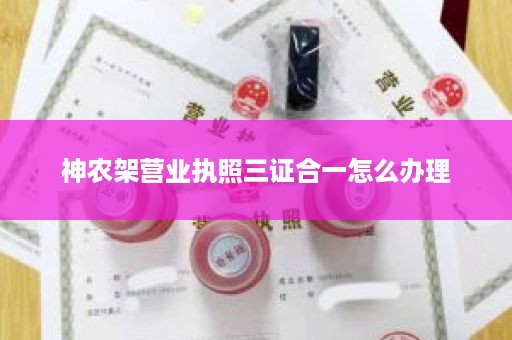 神农架营业执照三证合一怎么办理