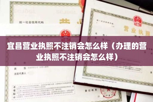 宜昌营业执照不注销会怎么样（办理的营业执照不注销会怎么样）