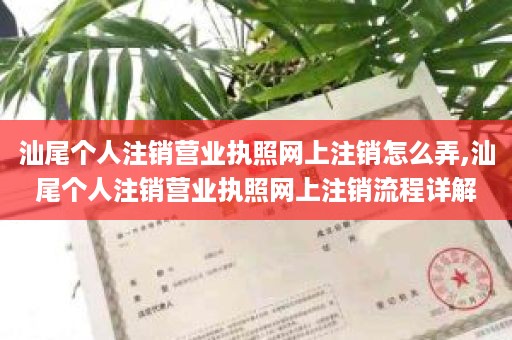 汕尾个人注销营业执照网上注销怎么弄,汕尾个人注销营业执照网上注销流程详解