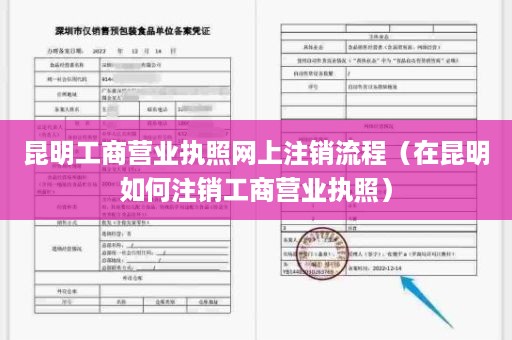 昆明工商营业执照网上注销流程（在昆明如何注销工商营业执照）