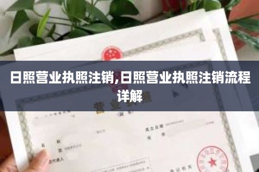 日照营业执照注销,日照营业执照注销流程详解