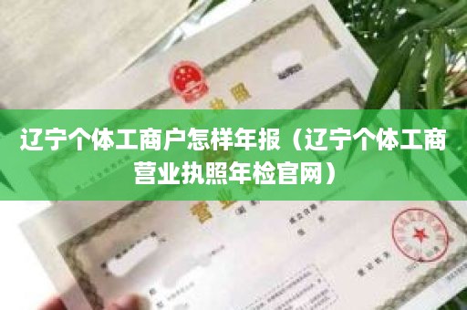 辽宁个体工商户怎样年报（辽宁个体工商营业执照年检官网）