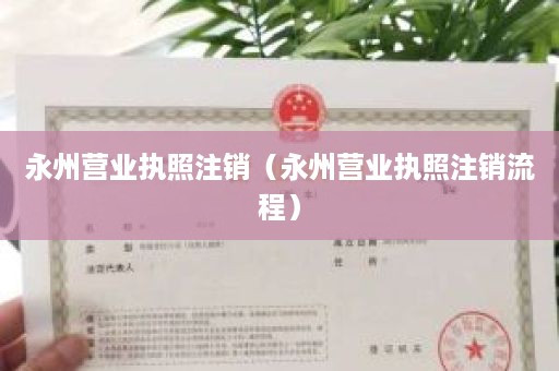 永州营业执照注销（永州营业执照注销流程）