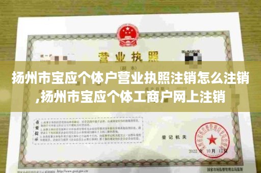 扬州市宝应个体户营业执照注销怎么注销,扬州市宝应个体工商户网上注销