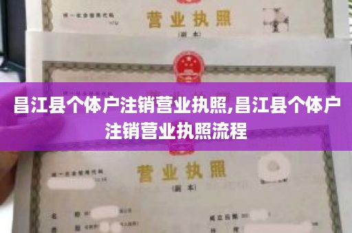 昌江县个体户注销营业执照,昌江县个体户注销营业执照流程