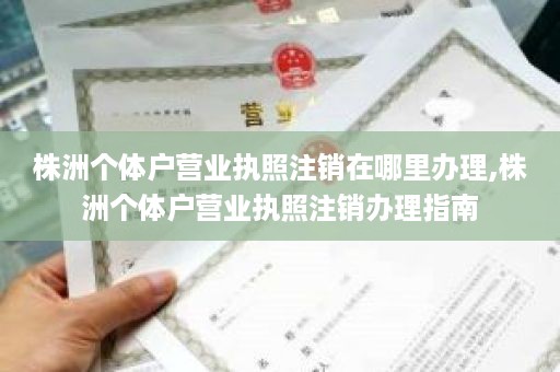 株洲个体户营业执照注销在哪里办理,株洲个体户营业执照注销办理指南