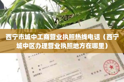 西宁市城中工商营业执照热线电话（西宁城中区办理营业执照地方在哪里）