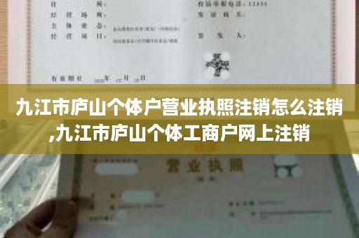 九江市庐山个体户营业执照注销怎么注销,九江市庐山个体工商户网上注销