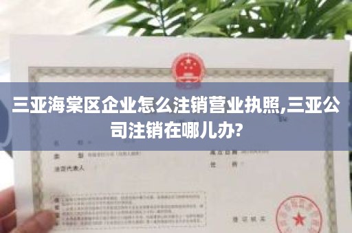 三亚海棠区企业怎么注销营业执照,三亚公司注销在哪儿办?
