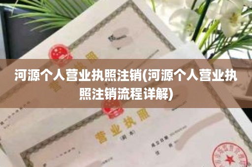 河源个人营业执照注销(河源个人营业执照注销流程详解)