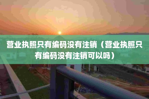 营业执照只有编码没有注销（营业执照只有编码没有注销可以吗）