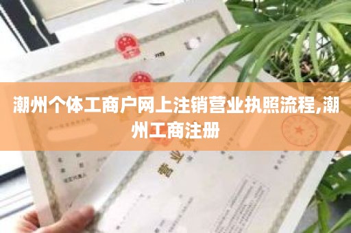 潮州个体工商户网上注销营业执照流程,潮州工商注册