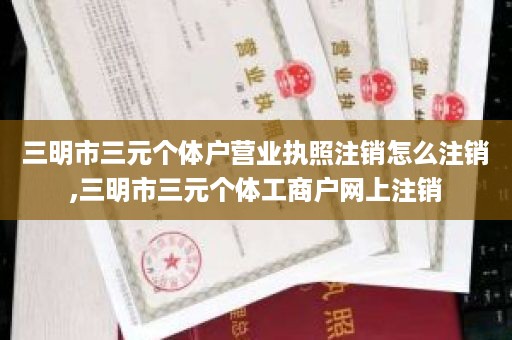三明市三元个体户营业执照注销怎么注销,三明市三元个体工商户网上注销