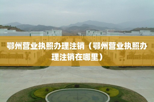 鄂州营业执照办理注销（鄂州营业执照办理注销在哪里）