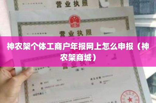 神农架个体工商户年报网上怎么申报（神农架商城）