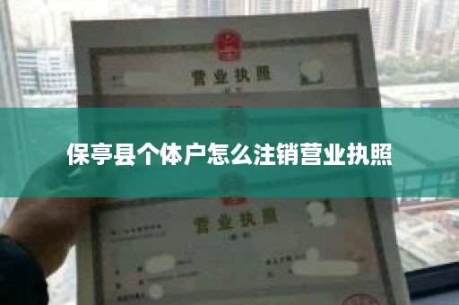 保亭县个体户怎么注销营业执照