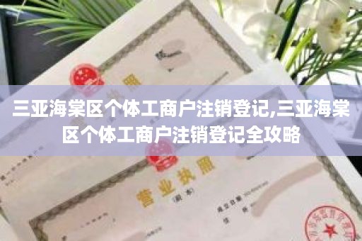 三亚海棠区个体工商户注销登记,三亚海棠区个体工商户注销登记全攻略
