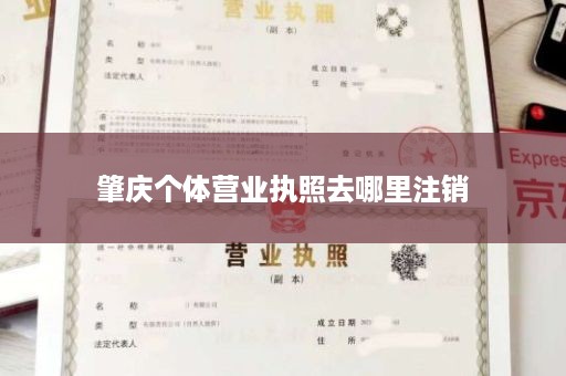 肇庆个体营业执照去哪里注销