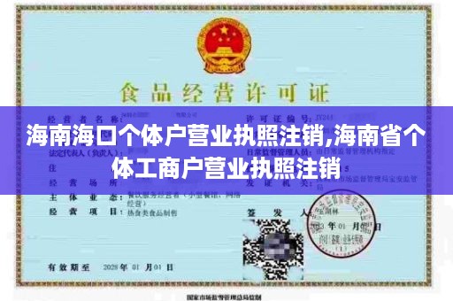 海南海口个体户营业执照注销,海南省个体工商户营业执照注销