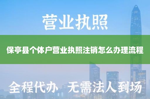 保亭县个体户营业执照注销怎么办理流程
