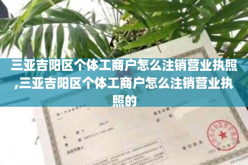 三亚吉阳区个体工商户怎么注销营业执照,三亚吉阳区个体工商户怎么注销营业执照的