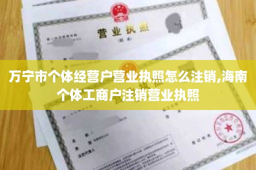 万宁市个体经营户营业执照怎么注销,海南个体工商户注销营业执照